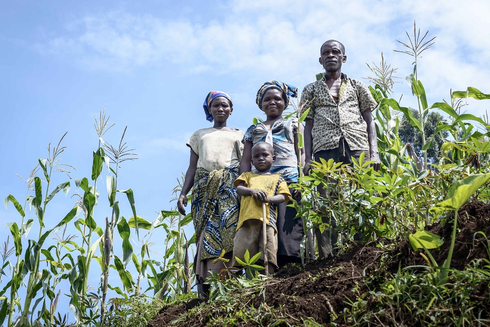 Les conséquences de la faim