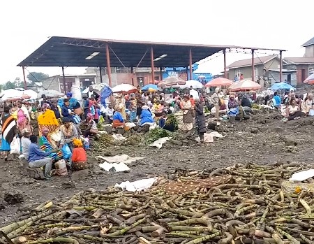 Notre environnement, notre santé