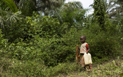 L’exploitation économique des enfants est monnaie à Beni