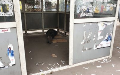 Chassée de la maison, une fille devient l’objet sexuel des voyous à Kinshasa 