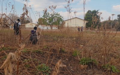 Trois toilettes presque bouchées pour 1 400 élèves à l’institut Kipushi, je n’en reviens pas