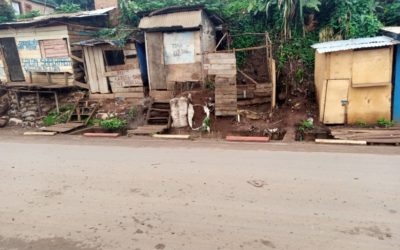 Bukavu insécurité