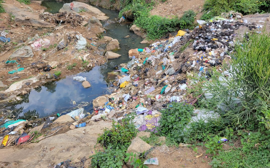 Dépotoirs anarchiques à Beni : Je plaide pour des sanctions exemplaires