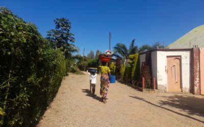 Des jumelles vendeuses ambulantes de légumes à Kipushi