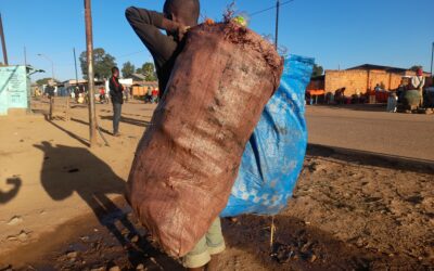 Un enfant vend des bouteilles en plastique pour nourrir sa famille à Kipushi