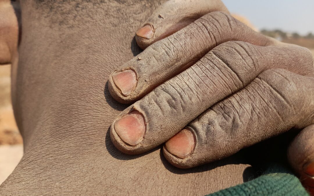 Mille et un sacrifices pour retourner au études