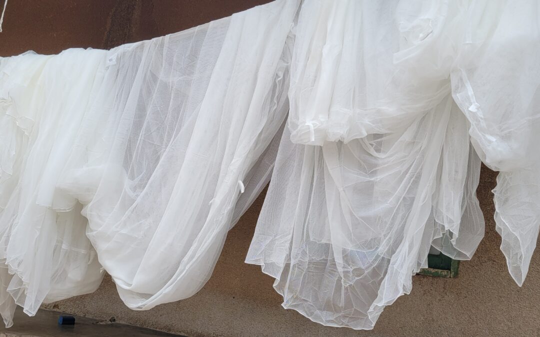 Campagne de distribution de moustiquaires à Beni