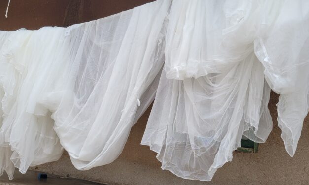 Campagne de distribution de moustiquaires à Beni