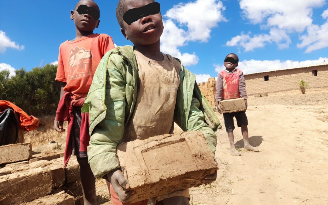 Obligé de transporter des briques pour vivre