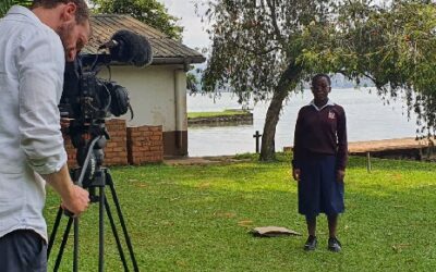 Les arbres sont efficaces pour préserver l&rsquo;environnement