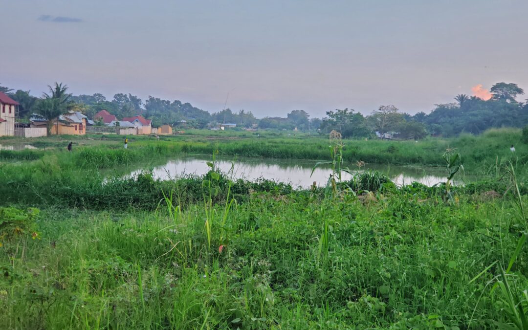 Insalubrité à Kisangani Université