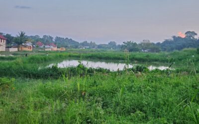 L&rsquo;insalubrité a rendu ma soeur gravement malade