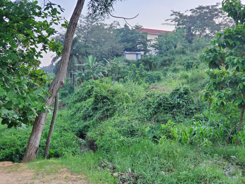 Insalubrité à Kisangani Université