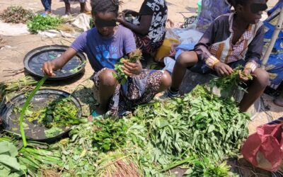 Kisangani : Jules vend des légumes pour aider ses frères et sœurs