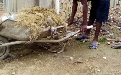 Peter est exploité pour des tâches ménagères alors qu&rsquo;il a des problèmes mentaux