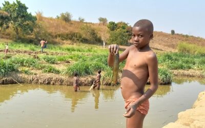 Kipushi: trois enfants abandonnent l’école pour la pêche