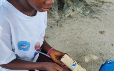 Mes frères et moi cotisons pour les fêtes de fin d’année