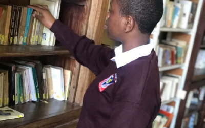 Quatre bibliothèques dans mon école pour approfondir les connaissances