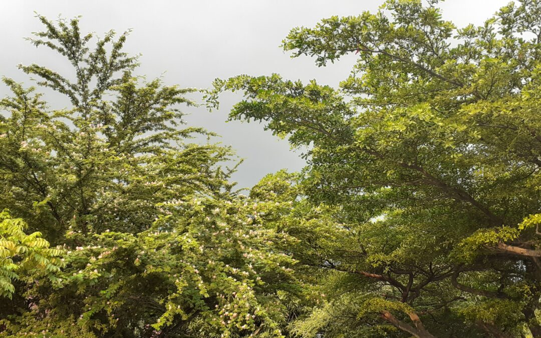 Pas de discrimination dans la sensibilisation sur le climat