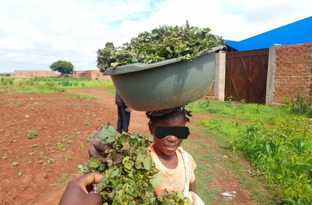 Kipushi : Alice vend des légumes pour nourrir sa grand-mère