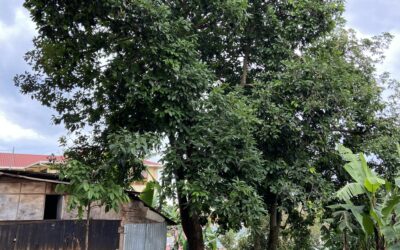 Les questions climatiques nous concernent tous