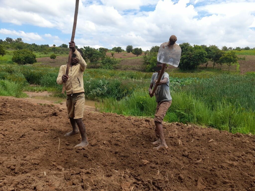 Enfant utilisé dans l'agriculture à Kipushi