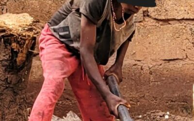 Patient accompagne son père abattre des arbres à Mbuji-Mayi