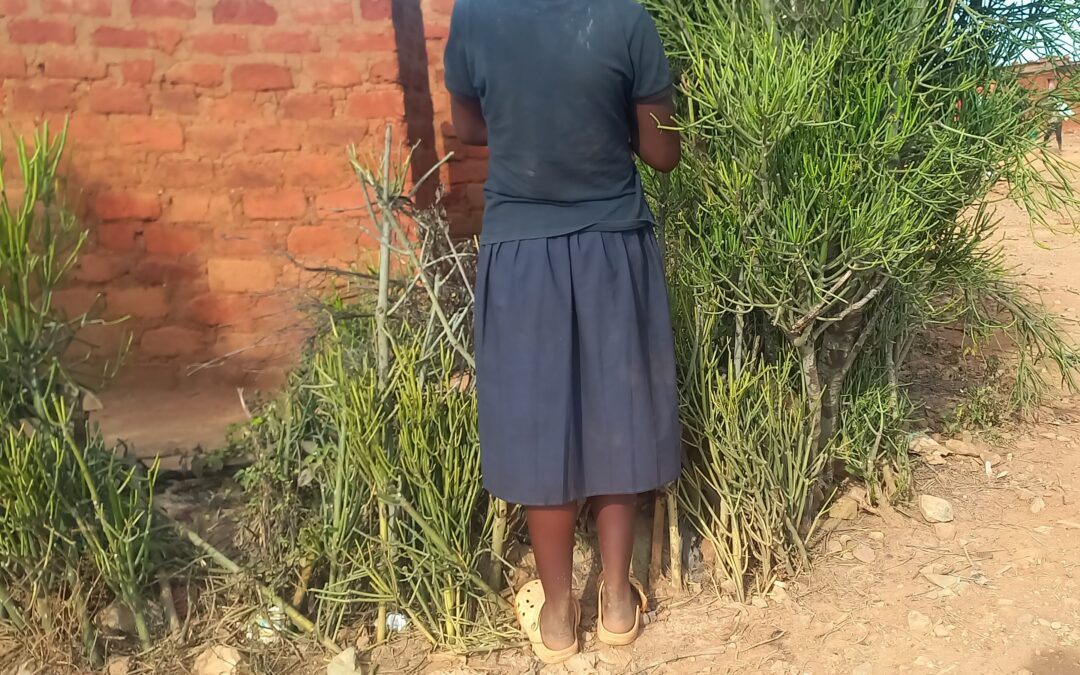 Kipushi : un homme interpelé pour tentative de viol sur mineure