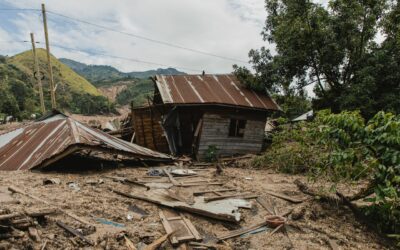 Plantons des arbres pour protéger des vies humaines contre les inondations