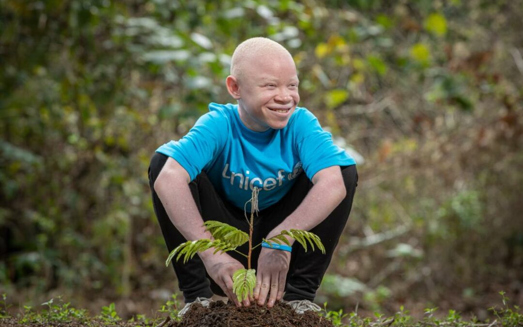 Arbre, je sais que tu es important