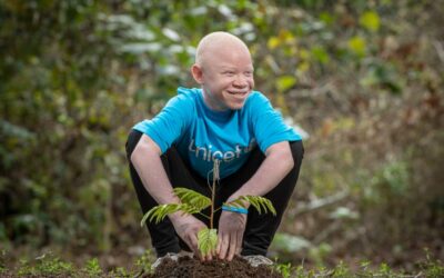 Arbre, je sais que tu es important