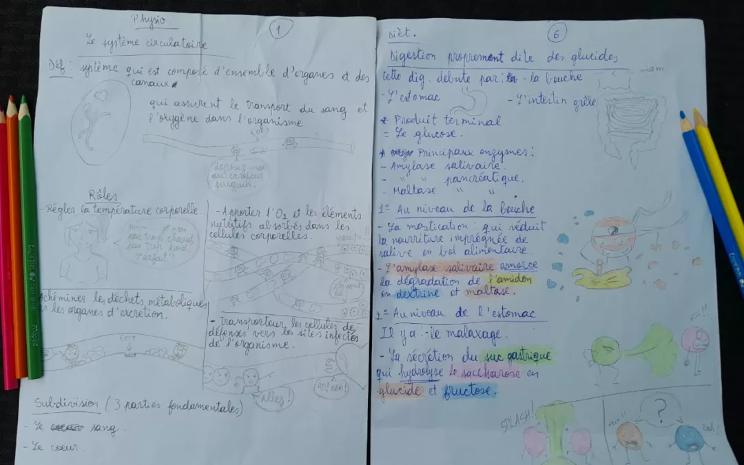 Elle crée une bande dessinée pour réviser ses cours