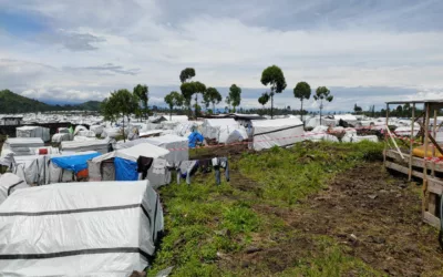 Où sont partis mes amis du site des déplacés ?