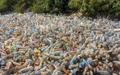 Kinshasa : des déchets plastiques dans les caniveaux de mon avenue