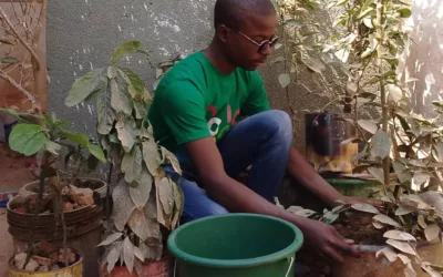 Initié à la protection de l’environnement, j’ai planté un arbre