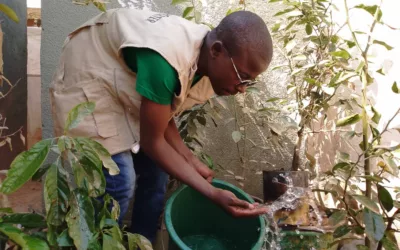 Je produis des jeunes plantes pour lutter contre le réchauffement climatique