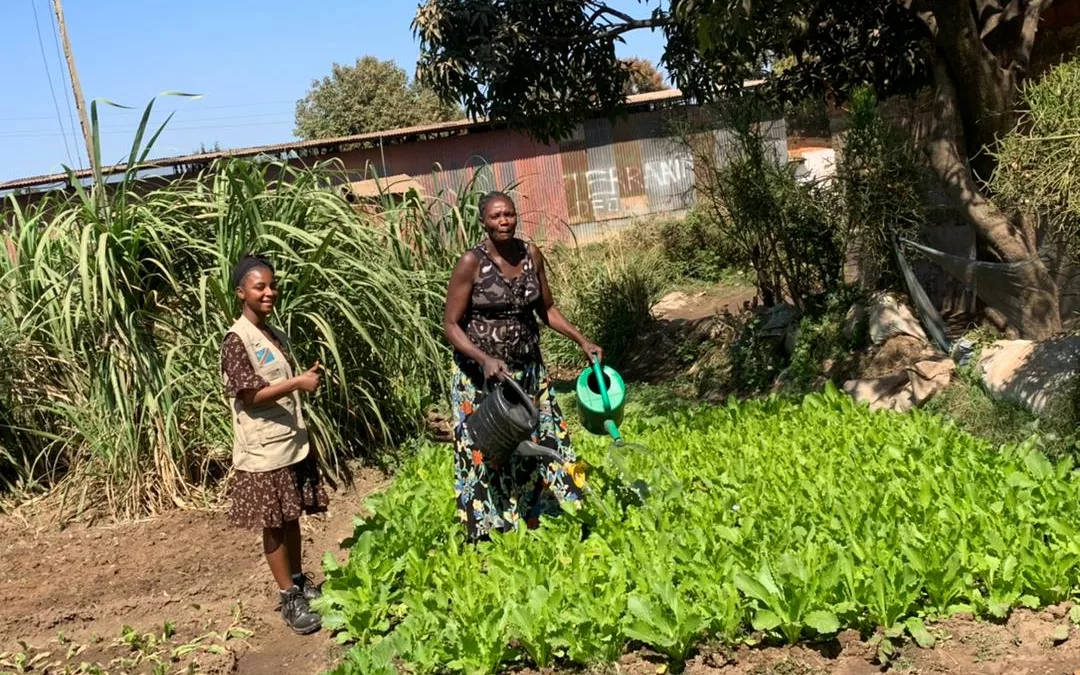 Elle utilise les déchets biodégradables pour nourrir le sol