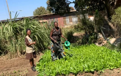 Elle utilise les déchets biodégradables pour nourrir le sol