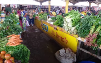 Karavia, un de marché propre à Lubumbashi