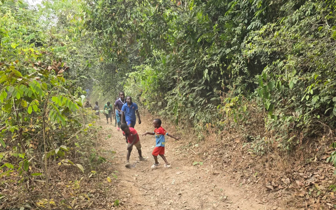 La forêt : mon refuge naturel 
