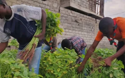 Les enfants sont-ils trop libres ?