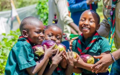 Plantons des arbres contre le réchauffement climatique