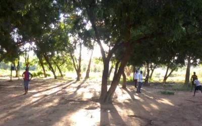 Il faut sauver la planète !