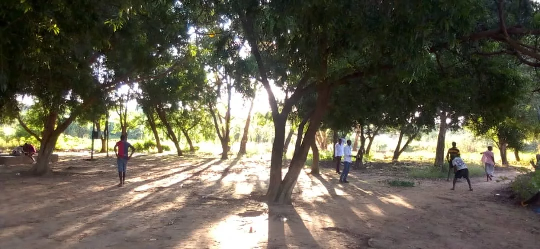 Il faut sauver la planète !