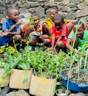 Je ne vois plus de la verdure autour de moi à Kinshasa