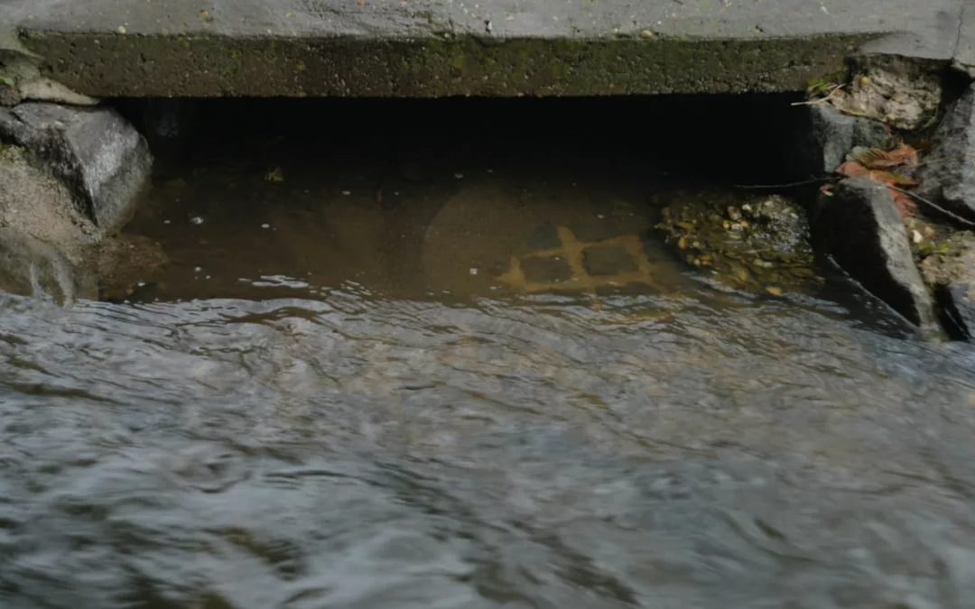 Kinshasa : les caniveaux de mon quartier bouchés