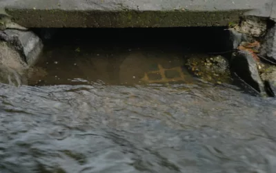 Kinshasa : les caniveaux de mon quartier bouchés