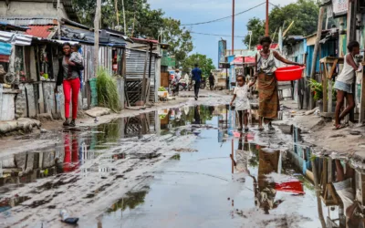 Kin la belle ou Kin poubelle ?