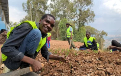 Je m’engage pour une ville plus verte avec moins de catastrophes naturelles